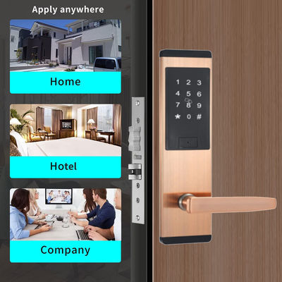 Zwart Kleur Roestvrij staal Smart Keypad Door Lock met TTlock Smart App