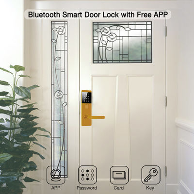 Aluminium TTlock Password Elektronische slimme deursloten voor appartementen Home Office
