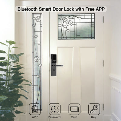 Roestvrij staal 6068 Mortise TTlock App Controlled Door Lock met Smart Keypad