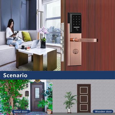 Roestvrij staal 6068 Mortise TTlock App Controlled Door Lock met Smart Keypad