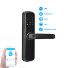 Het digitale Biometrische van de de Vingerafdrukdeur van Keyless Slimme Slot Wifi BLE voor Huis