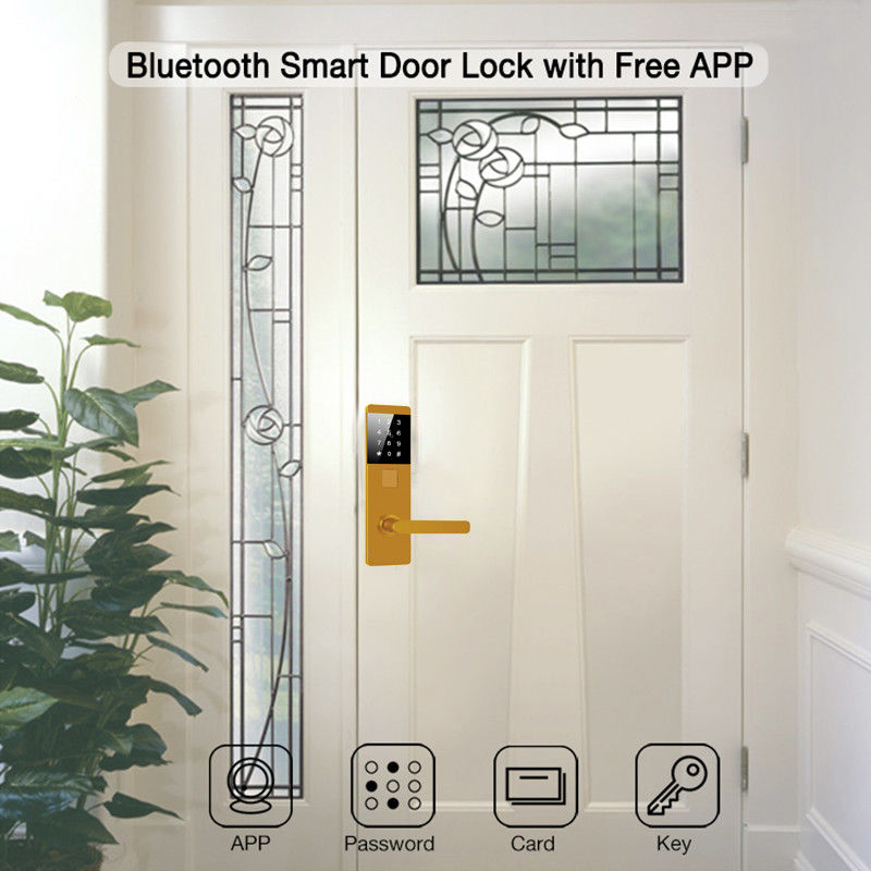 Aluminium TTlock Password Elektronische slimme deursloten voor appartementen Home Office