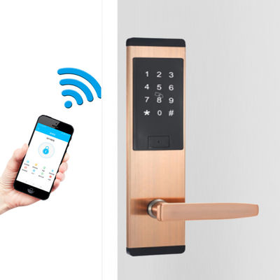 Zwart Kleur Roestvrij staal Smart Keypad Door Lock met TTlock Smart App