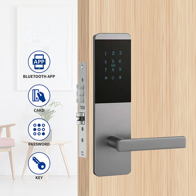 4 in 1 Aluminium Appartement Smart TTlock Door Lock met Touch Keypad
